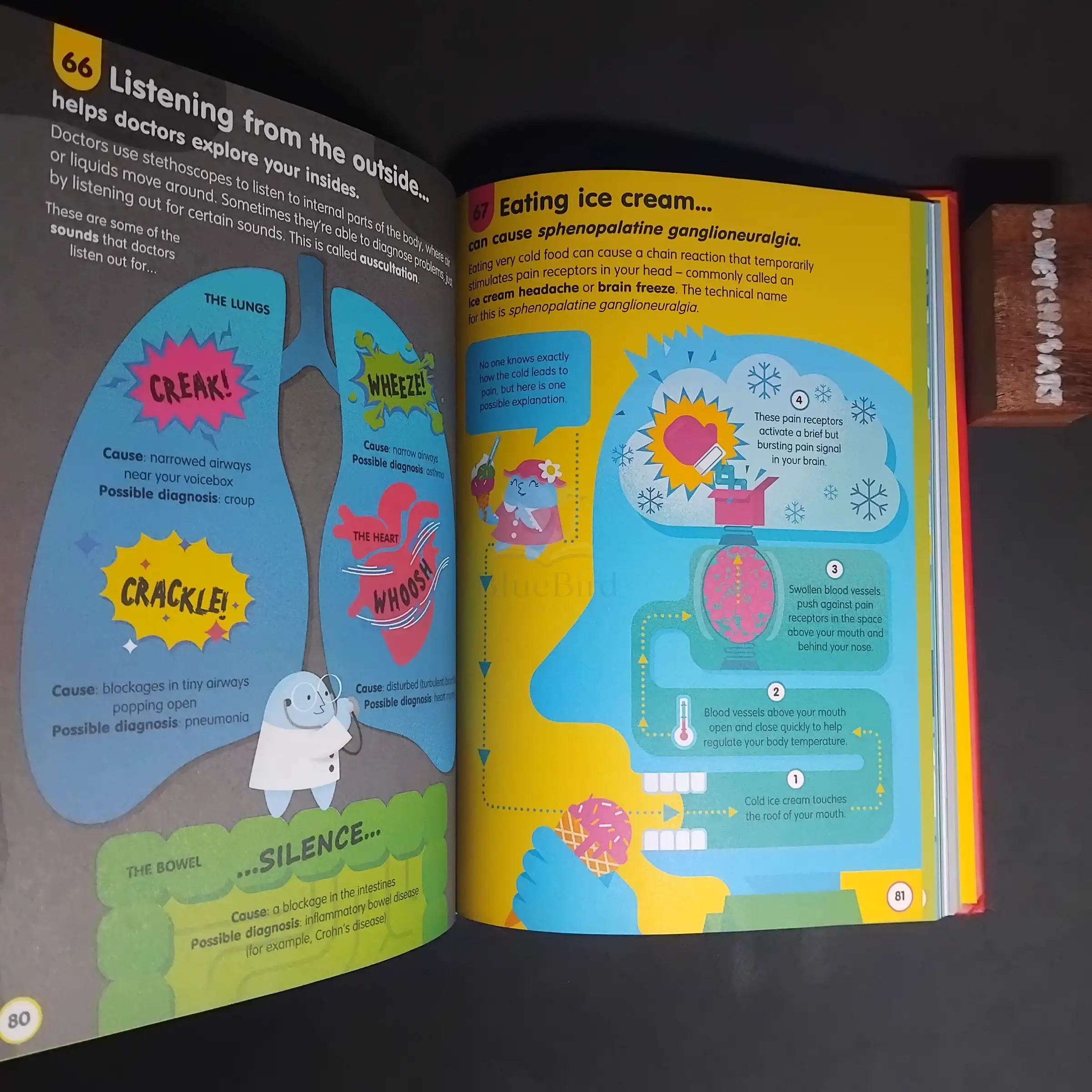 100 THINGS TO KNOW ABOUT THE HUMAN BODY — Table of contents 1