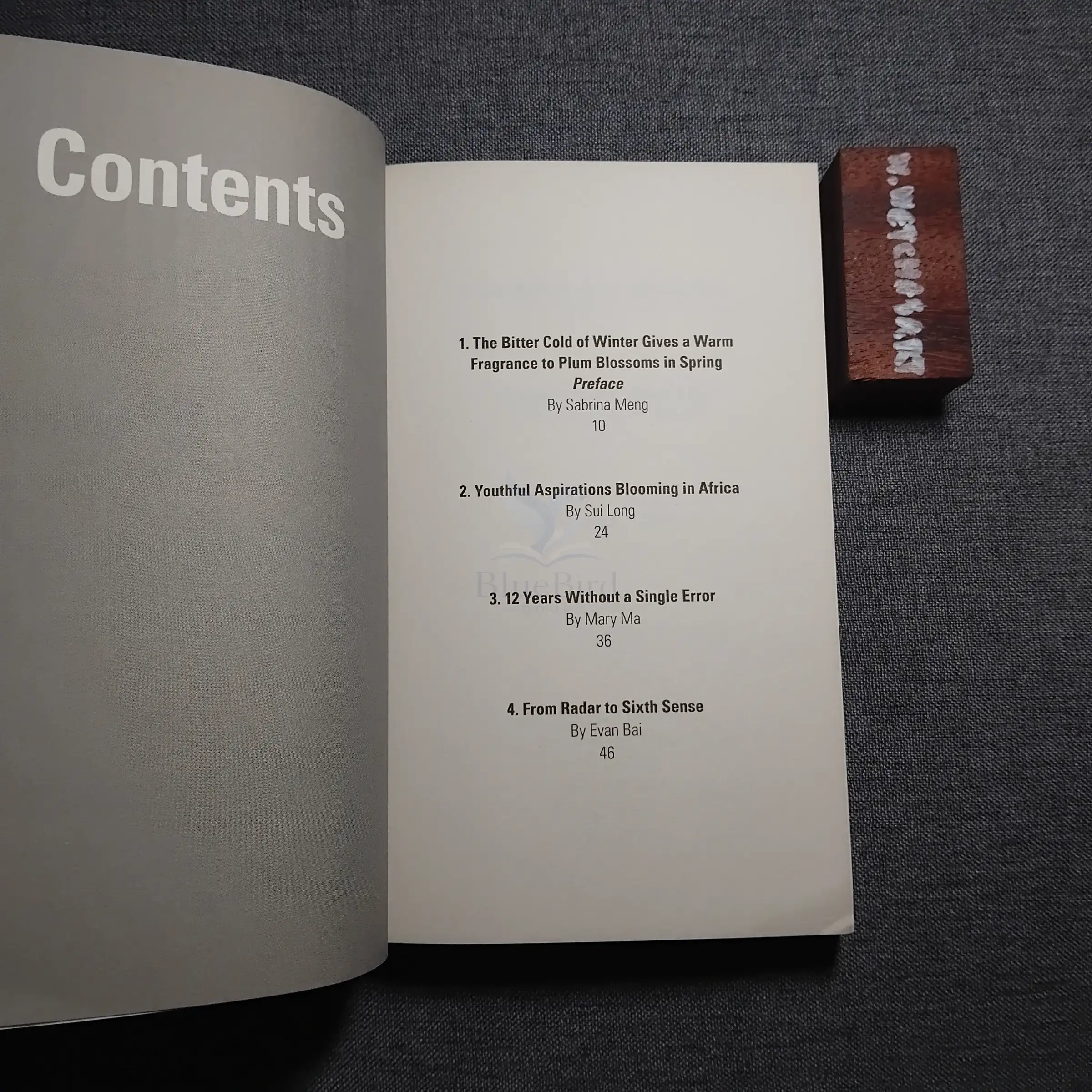 VISIONARIES — Table of contents 1