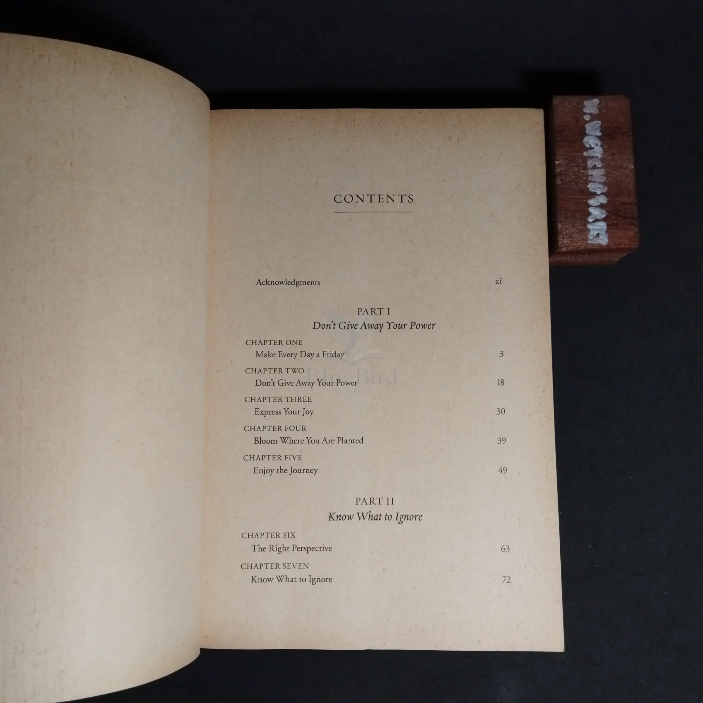 EVERY DAY A FRIDAY — Table of contents 1