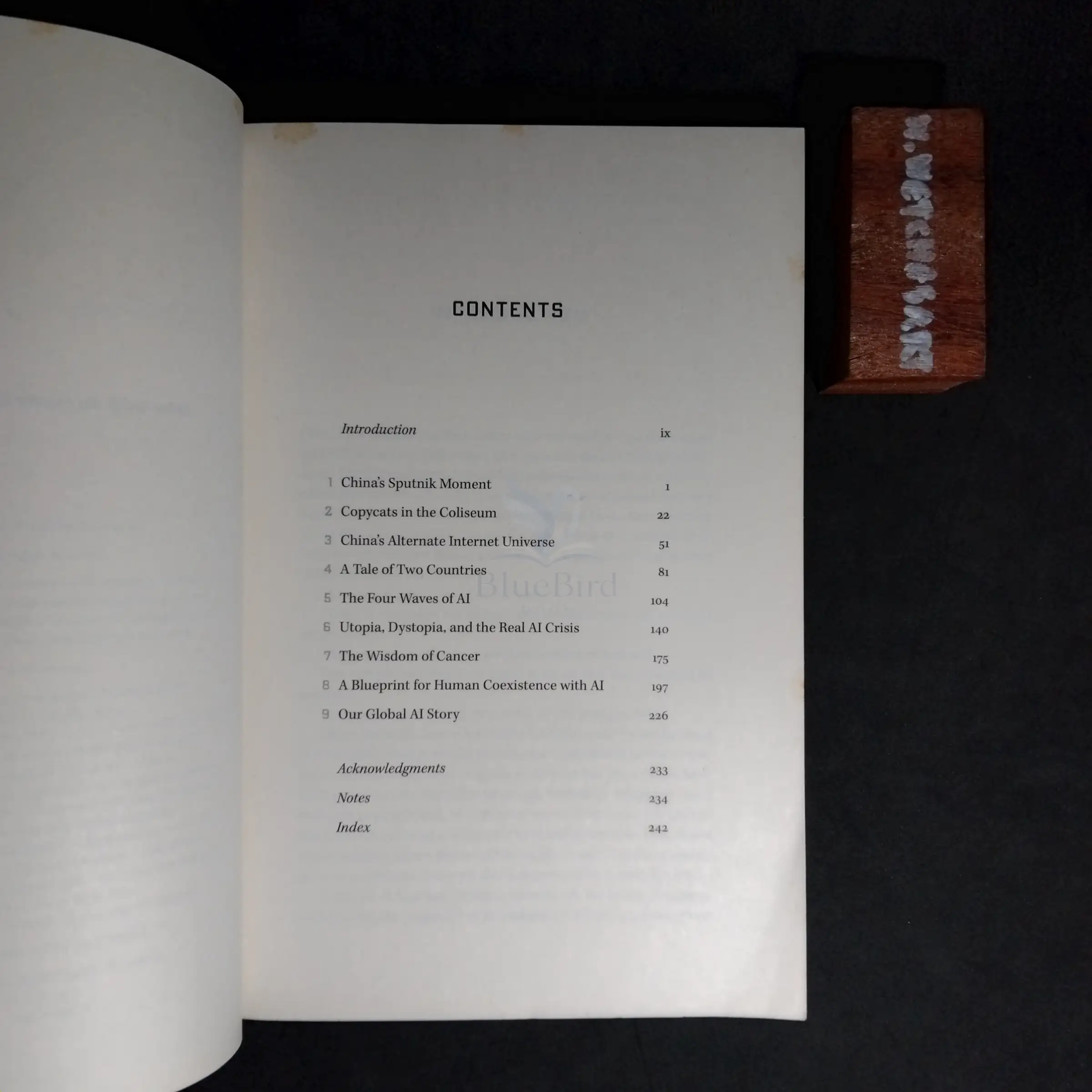Al SUPERPOWERS — Table of contents 1