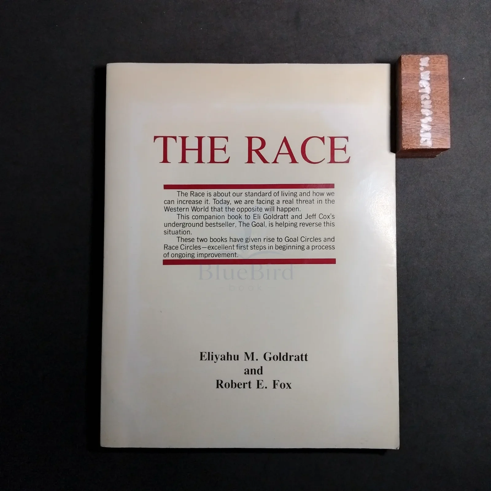 THE RACE