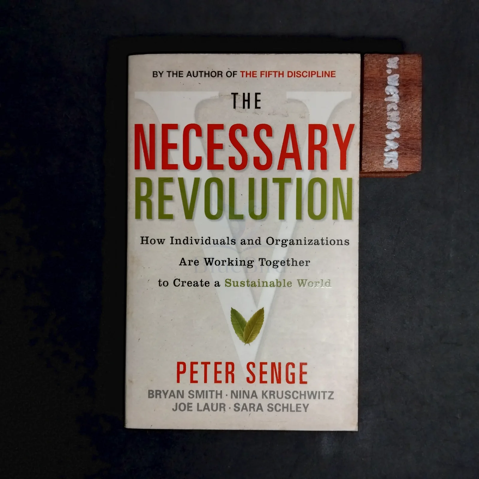 THE NECESSARY REVOLUTION