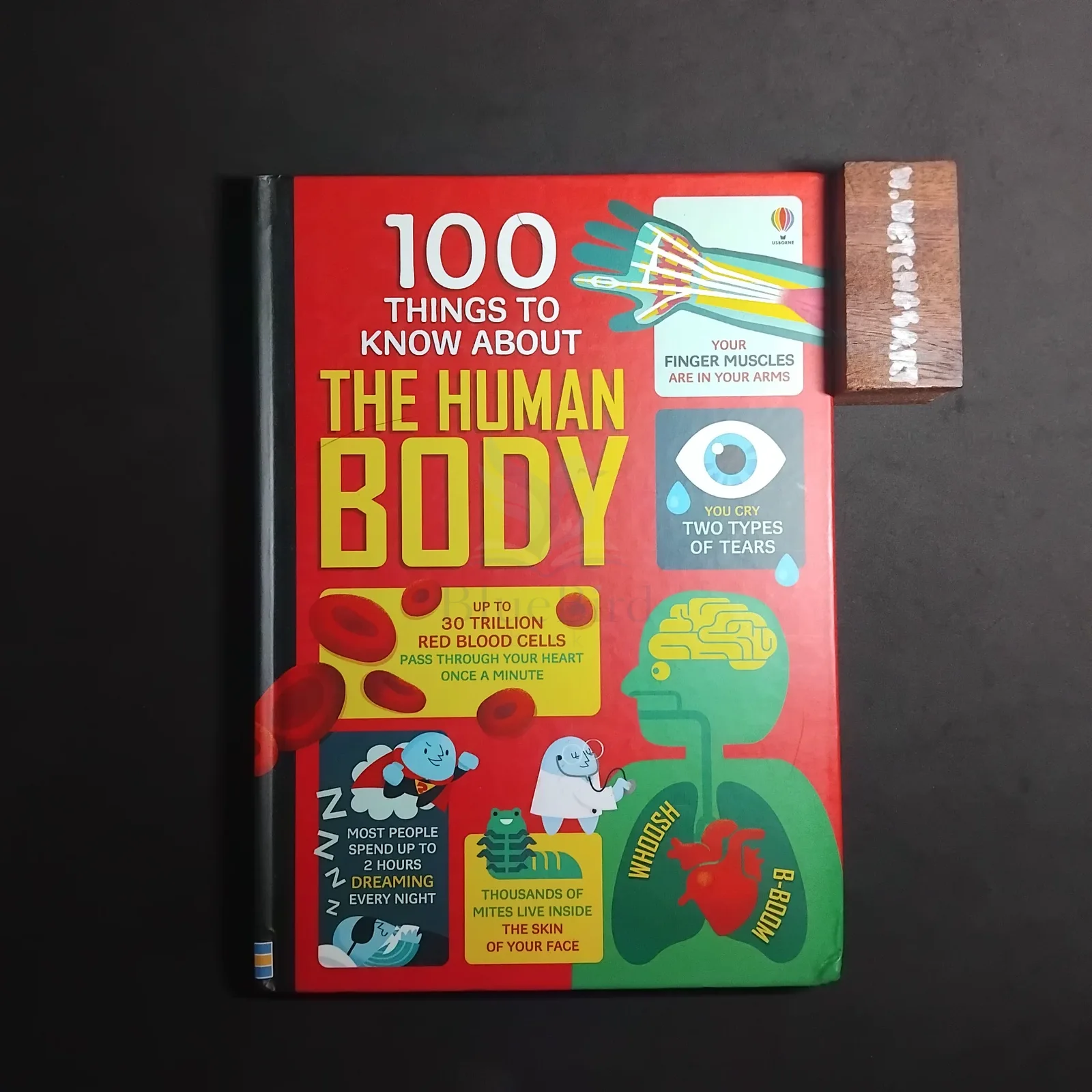 100 THINGS TO KNOW ABOUT THE HUMAN BODY