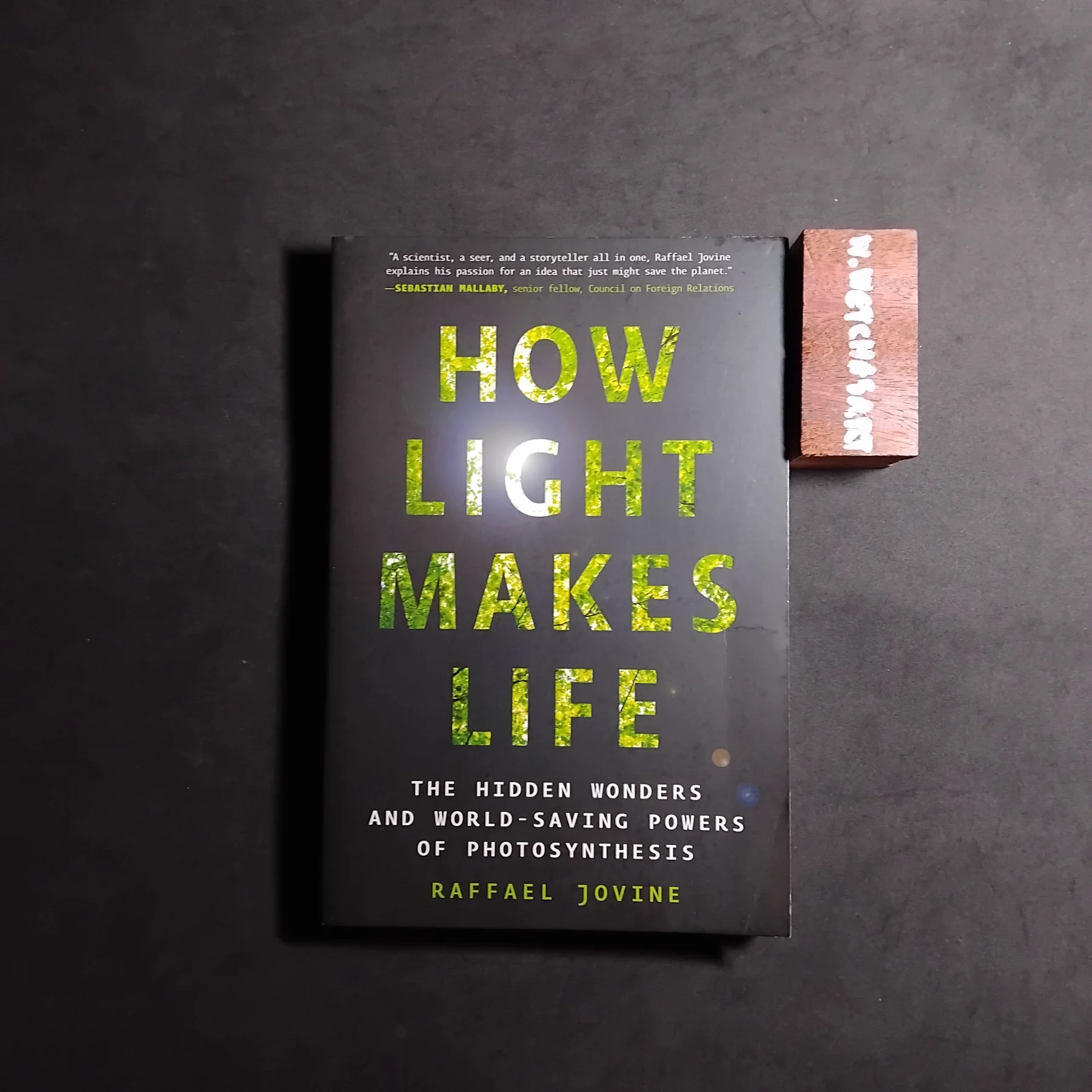 How Light Makes Life
