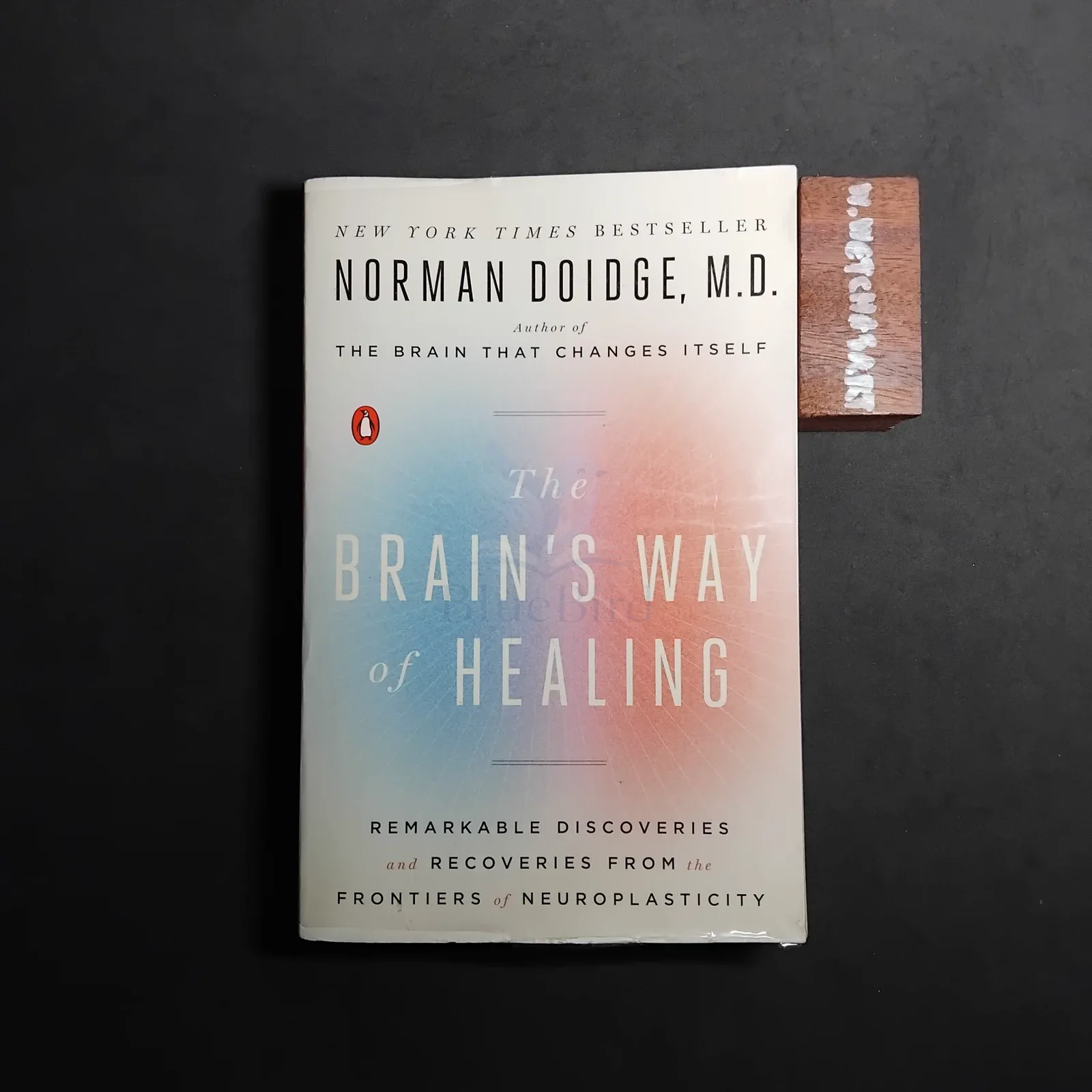 THE BRAIN 'S WAY OF HEALING