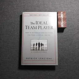 The Ideal Team Player