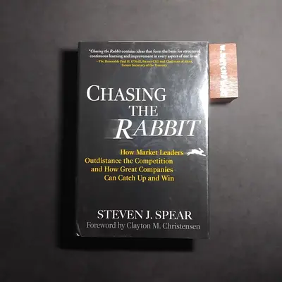 CHASING THE RABBIT