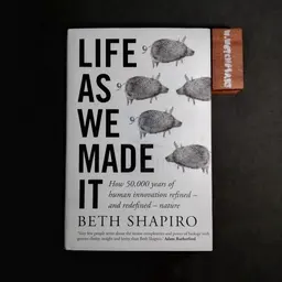 LIFE AS WE MADE IT